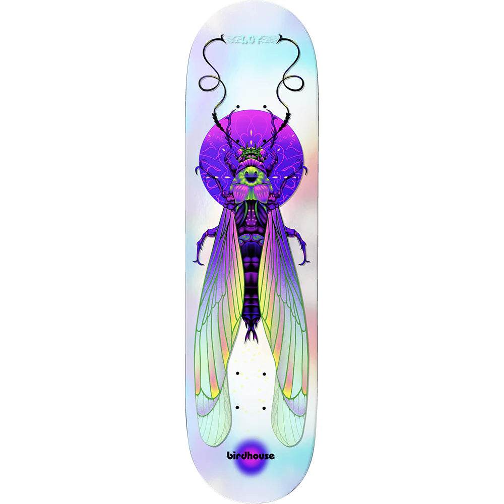 Birdhouse DAVID LOY ILHAM INSECTS DECK 8.5