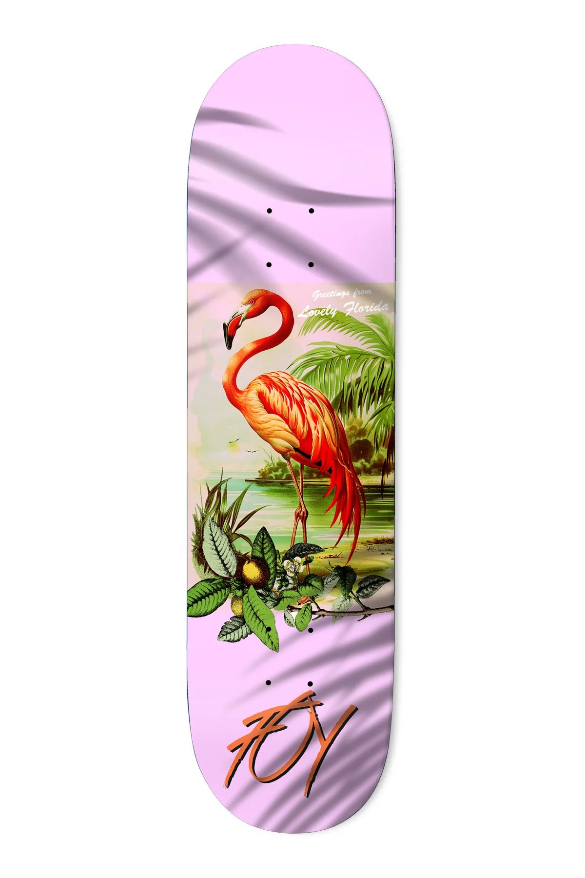 JF Flamingo